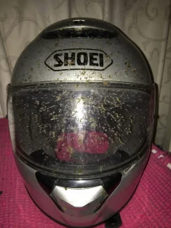 Close call with an Owl (2016)