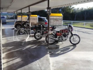 Good Pals With Their Commandos