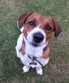 ACE CAFE LONDON 961 MEET SEPTEMBER(REGISTER UR ATTENDANCE HERE) ACE CAFE LONDON 961 MEET SEPTEMBER(REGISTER UR ATTENDANCE HERE)