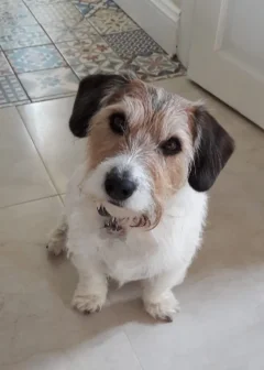 ACE CAFE LONDON 961 MEET SEPTEMBER(REGISTER UR ATTENDANCE HERE) ACE CAFE LONDON 961 MEET SEPTEMBER(REGISTER UR ATTENDANCE HERE)