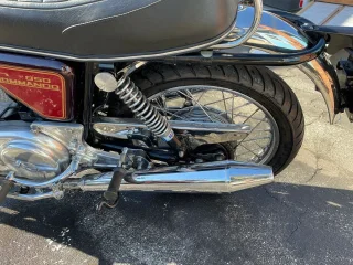 Advice for new Commando owner (2021)