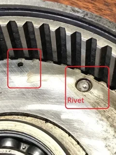 116343720_10224163967146241_8582741547609989284_n.jpg 116343720_10224163967146241_8582741547609989284_n.jpg