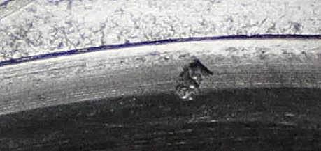 Wages of sin no doubt...