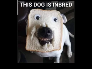 Post your jokes and humor here.