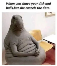 Post your jokes and humor here.