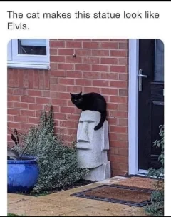 Post your jokes and humor here.