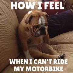 Post your jokes and humor here.