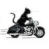 CoolCat
