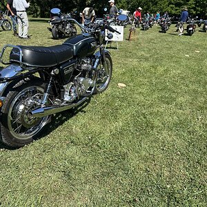 IMG_4382.jpeg