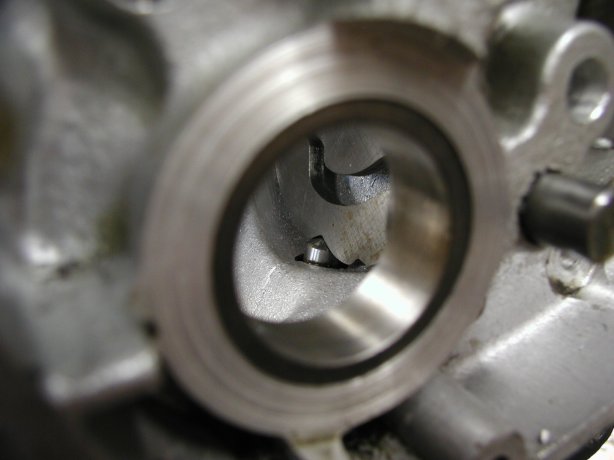 Looking into the shell